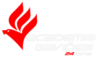 Gaviões